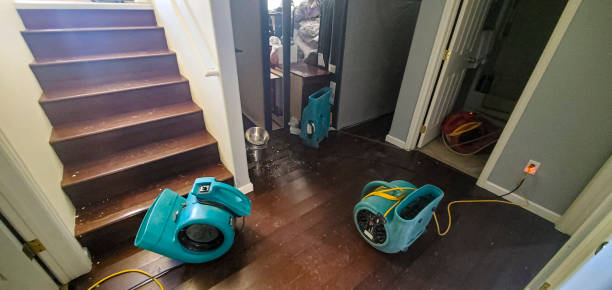 Best Water damage repair service  in St Charles, MO