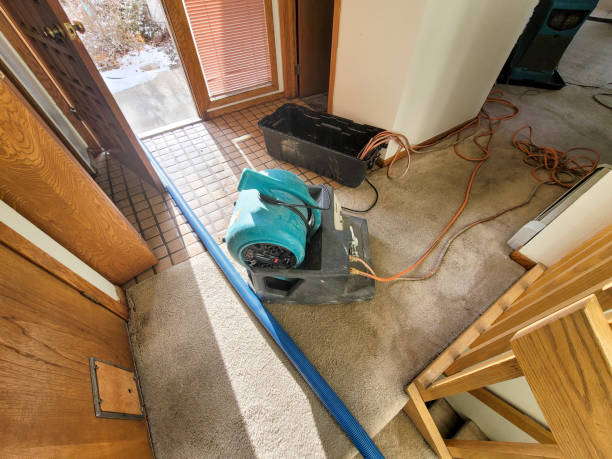 Best Flood restoration services  in St Charles, MO