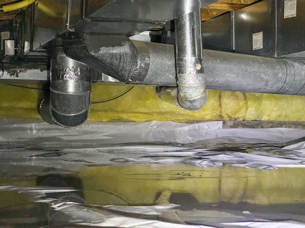 Best Water damage cleanup near me  in St Charles, MO